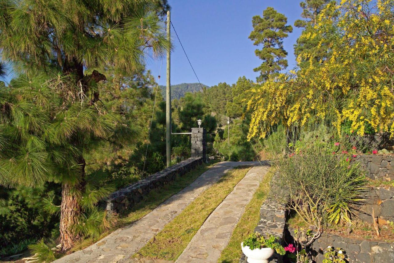 Вилла Casa Antonia Тихарафе Экстерьер фото